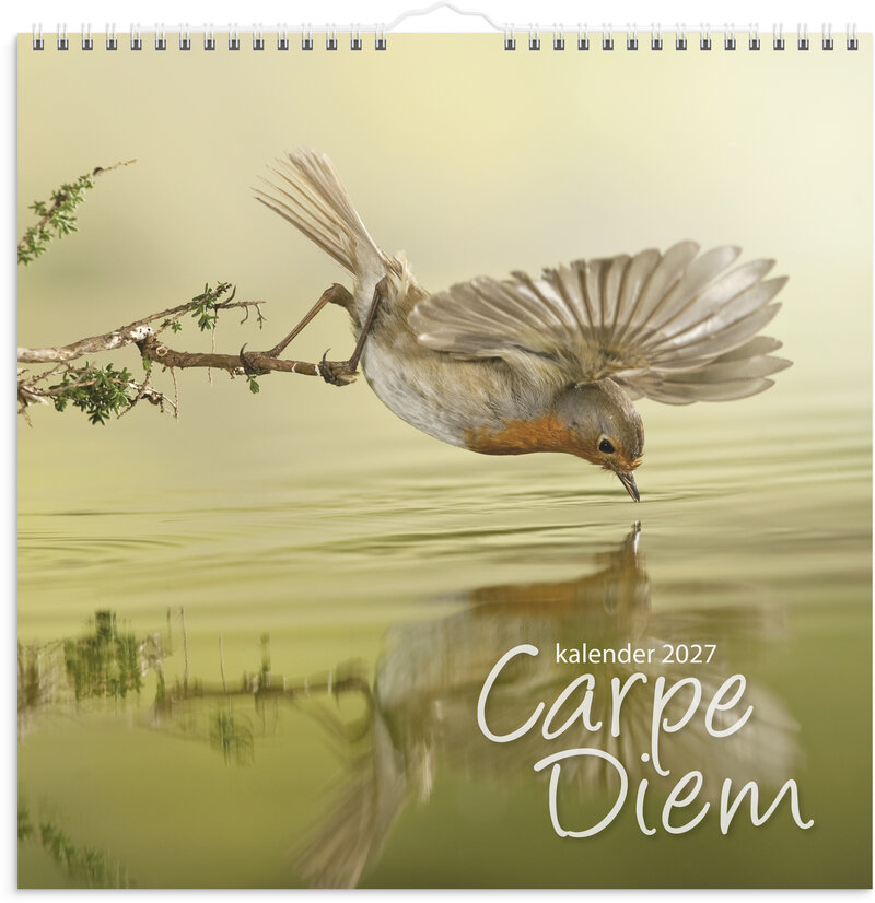 Väggkalender 2027 Carpe Diem