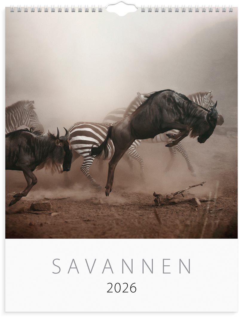 Väggkalender 2026 Savannen