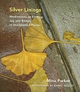 Silver Linings: Meditations on Finding Joy and Beauty in Unexpected Places