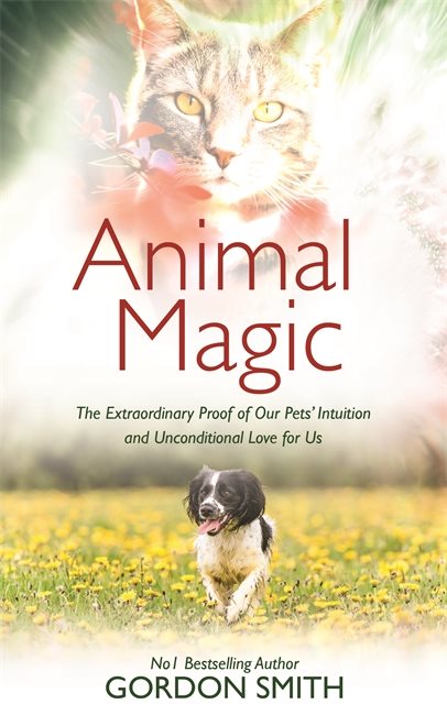 Animal magic - the extraordinary proof of our pets intuition and unconditio