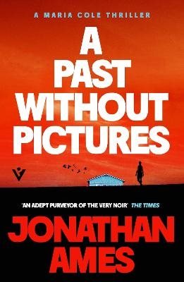 A Past Without Pictures