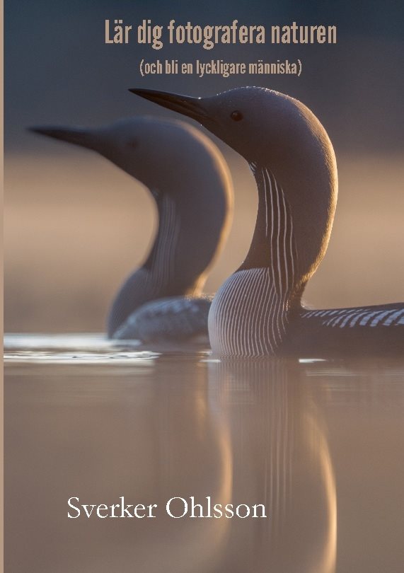 Lär dig fotografera naturen : och bli en lyckligare människa