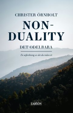 Non-duality – det odelbara  : En utforskning av det du redan är
