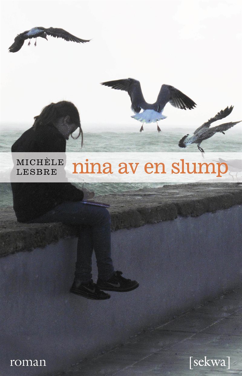 Nina av en slump : roman