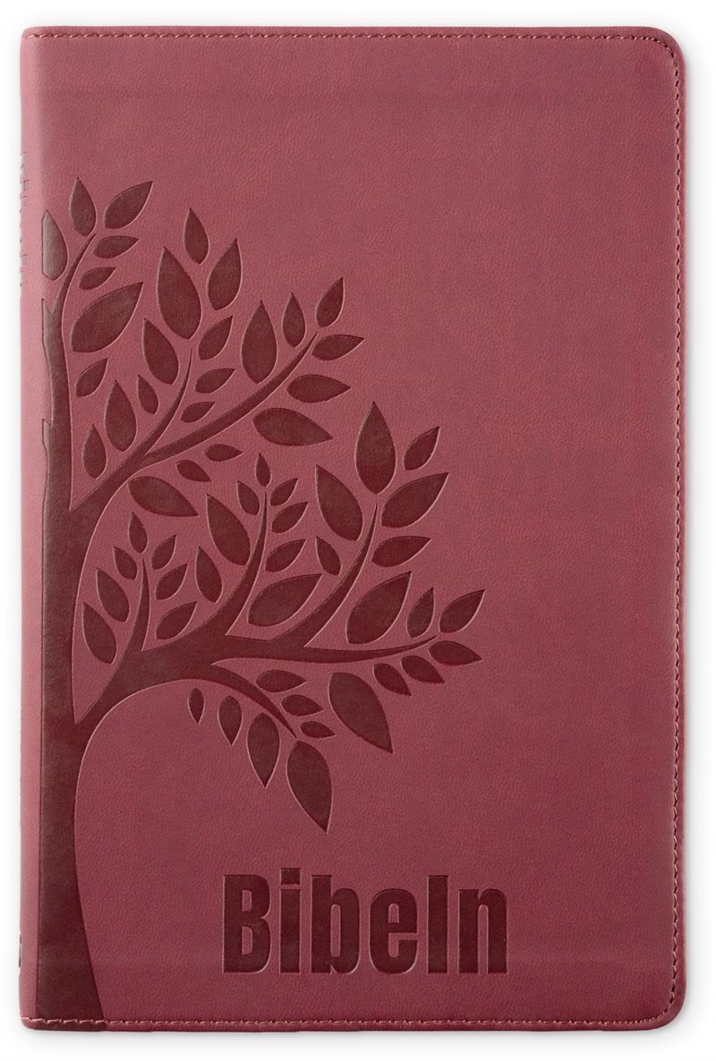 Bibel 2026 Slimline - Konstskinn röd