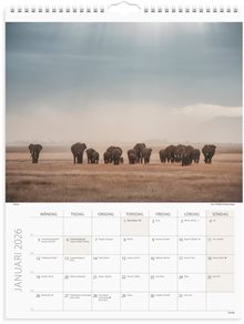 Väggkalender 2026 Savannen