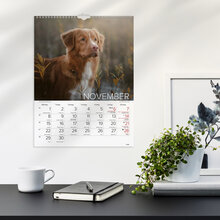 Väggkalender 2027 Stora Hundkalendern