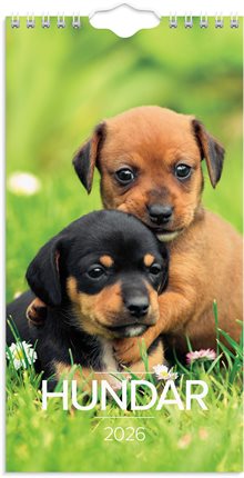 Väggkalender 2026 Liten Hundkalender