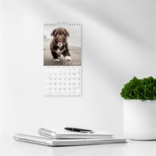 Väggkalender 2026 Liten Hundkalender